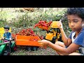 Jcb Loading Chilly In Dumper L Jcb Loading Tractor Video L Raghu Village Videos