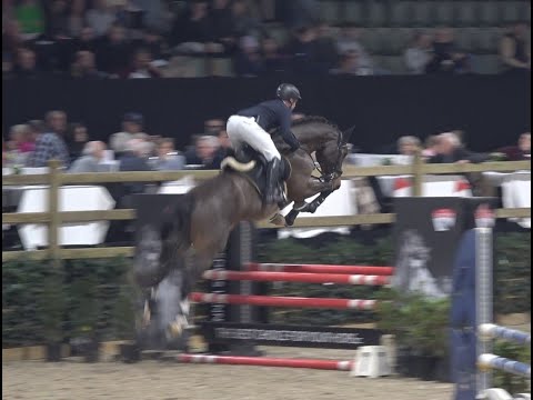 Tornado SH OLD, v. Toulon - Diamant de Semilly, OS Hengst, gekört * 2019