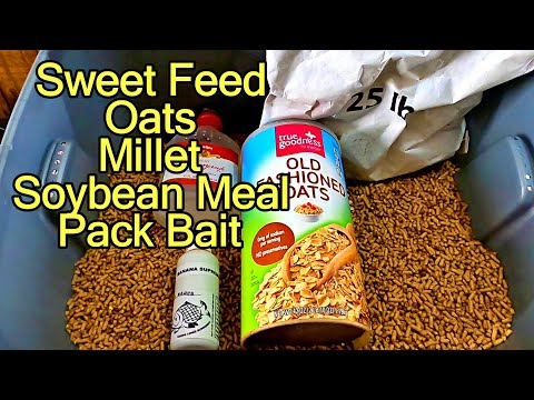 Carp fishing pack bait recipe sweet feed oats millet soybean meal combination