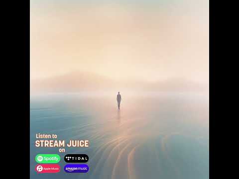 4. The Light - Stream Juice - Echoes in Slow Motion