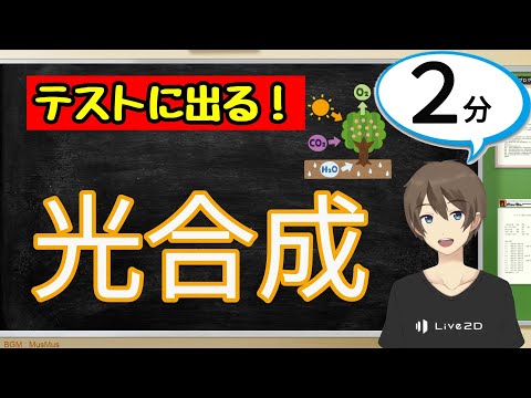 光合成:実際には何が起こっているのでしょうか? 自然と動物