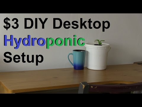 , title : 'How to Make a Simple $3 DIY Desktop Hydroponic System'