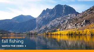 VIDEO: Fall Fishing Tips by Pro Guide Doug Rodricks