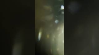 Download lagu Free Light Leak Overlay Video | No Copyright | #lightleaks #overlay #free #vfx #overlay #download mp3 Download lagu Free Light Leak Overlay Video | No Copyright | #lightleaks #overlay #free #vfx #overlay #download mp3