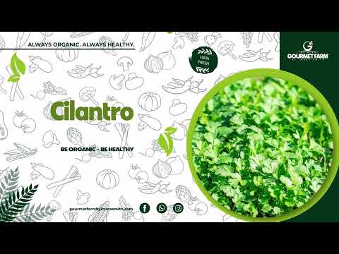 Business Video Sample 9