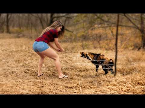 Animals That Asked People for Help & Kindness