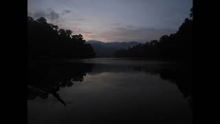 Mastodon - Elephant Man