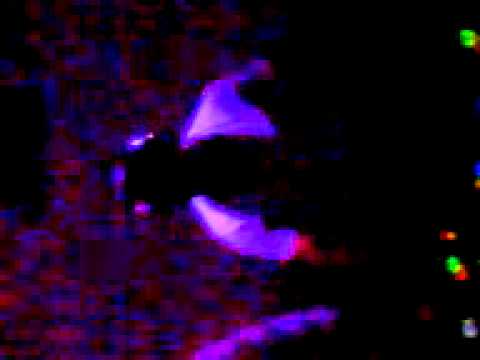 Javi Mula @ PLITVICE 24-07-2010