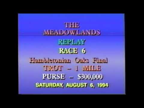 1994 Meadowlands GLEAM Hambletonian Oaks Final $300,000