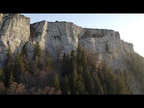 kieferphoto - Spring Time 2020