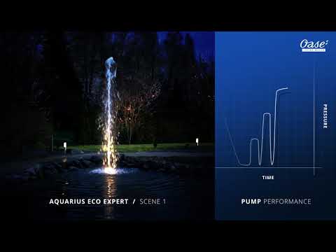 Watch Video on YouTube