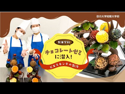 【目白短大】製菓学科：チョコレートゼミに潜入！ピエスモンテって何？