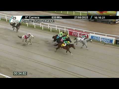 220827 c08 - SPECIAL ENERGY (BRZ) - HIPODROMO LAS PIEDRAS