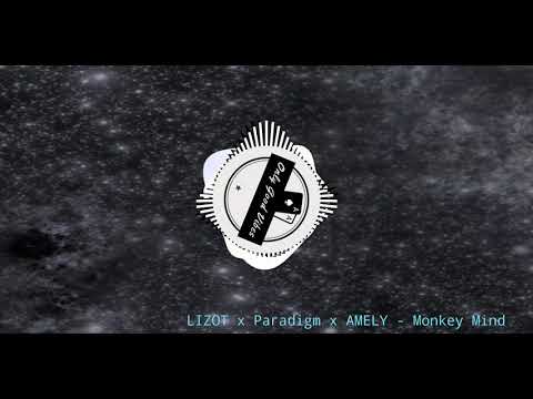 LIZOT x Paradigm x AMELY - Monkey Mind