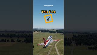 F-5 Surprises F-14 Tomcat #dcs #simulation