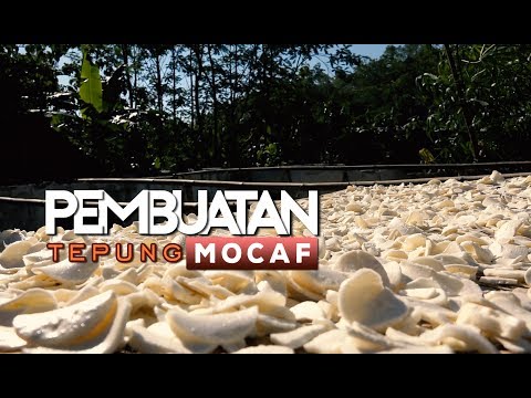 CARA MEMBUAT TEPUNG MOCAF | MODIFIED CASSAFA FLOUR | BERBAGAI ANEKA MAKANAN OLAHAN DARI MOCAF