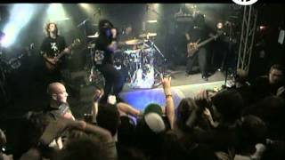 P.O.D.-Freedom Fighter (Live in Hamburg)