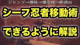 ドラゴンズドグマ2 シーフ 立ち回り 移動指南 できるように解説 忍者的スタイリッシュ操作