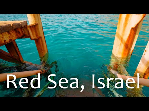 RED SEA. Peaceful Walk Along the Biblical Shore. Eilat, Israel.