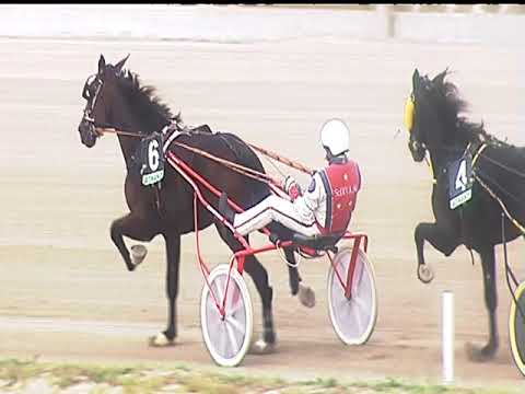 Trotto 05/10/2018 - 1ª corsa