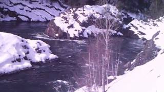 preview picture of video 'Devil's Elbow South Fork Flathead River'
