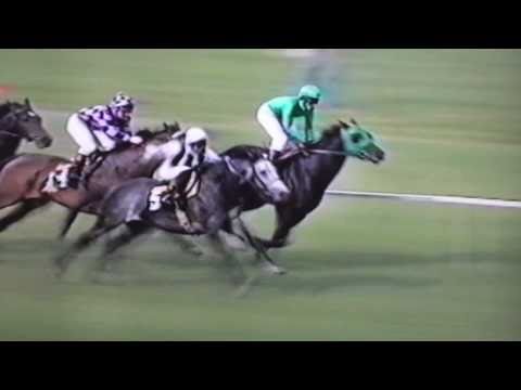 Nagroda Haracza - 5.06.2004 - Freedom (All Hands on Deck - F-Troop)