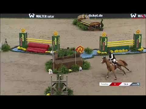 Preis der Firma WALTER solar, Pia Schmülling mit For ever Pleasure N