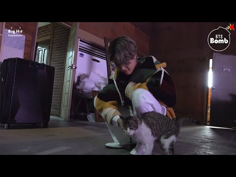 [Sub Español] [BANGTAN BOMB] You Have a Meow-sitor! - BTS (방탄소년단)