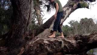 Arthur Russell - Love Comes Back