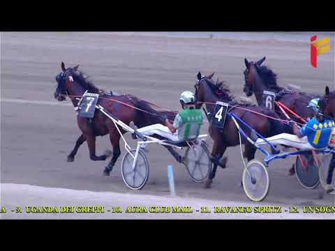 VI Corsa del 25 Agosto 2021   Metri 1600   Cat  G   II TRIS