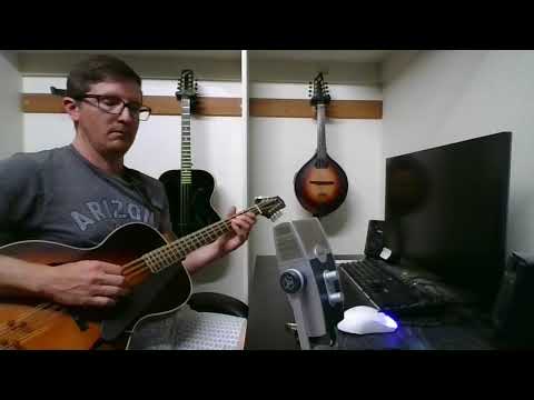 KR Strings Octolindo F Deluxe 2023 w/ Custom Pickguard - Octave Mandolin (w/ Video) image 19