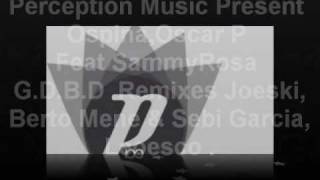 Perception Music: DAVIDSON OSPINA / OSCAR P : SAMMY ROSA GBDB (remixes).