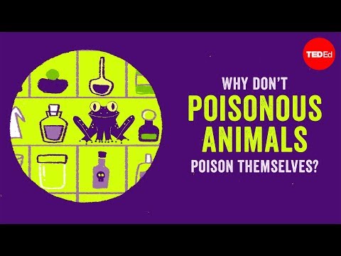 Why don't poisonous animals poison themselves? - YouTube