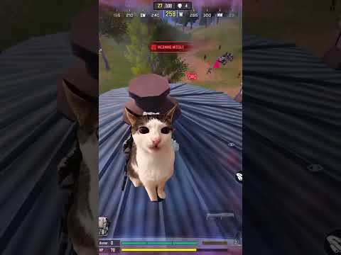 Overconfident squad took Meow lightly #callofdutymobile #codmobile #codm