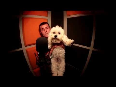 Prus #Hot16Challenge