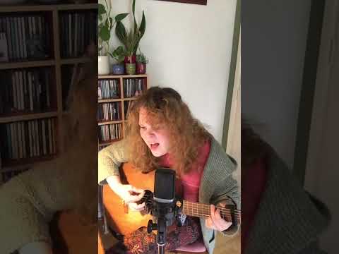 Liefde Van Later - Herman Van Veen