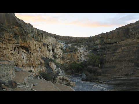 ElectroNative, in the beginning was... (18th April 2020)