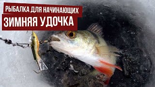 Какие удочки лучше всего для зимней рыбалки