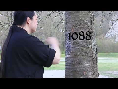 Ironfist! Over 1500 Punches against living tree!