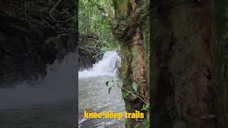 We Hiked a VOLCANO—Here’s What Happened! | National Geographic Cruise review 2025