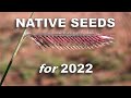 Oak Savanna Project ― Native Grasses and Legumes to Plant in 2022