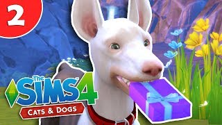 SCAVENGING FOR MONEY | EP.2 | THE SIMS 4 CATS & DOGS