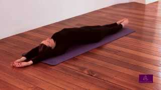 Hatha yoga - the sun and moon pose