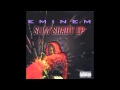 09. Eminem - If I Had... (Radio Edit) [THE SLIM ...
