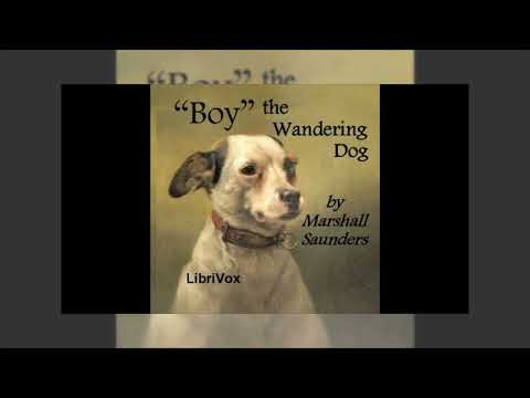 "Boy" The Wandering Dog by Marshall Saunders — free full audiobook