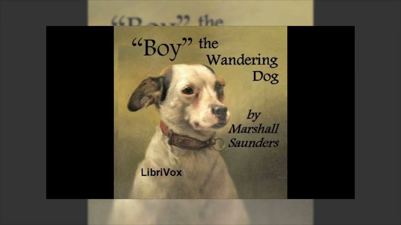 "Boy" The Wandering Dog