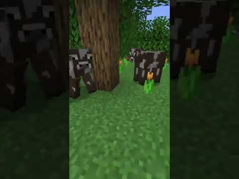 AmLuke - I glitch into the Minecraft backrooms
