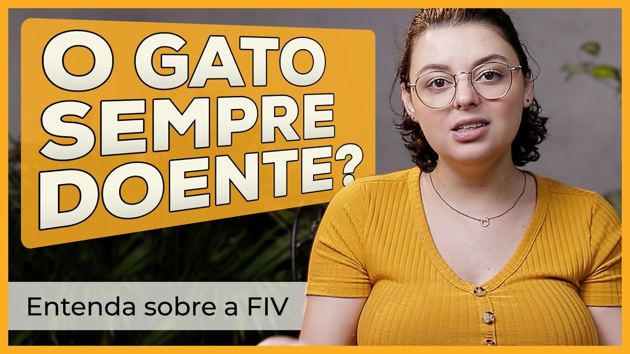 Entenda sobre a AIDS Felina | FIV