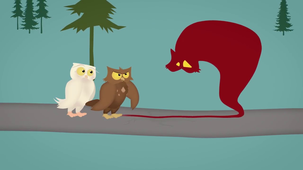 Agnieszka Wieczorkowska-15