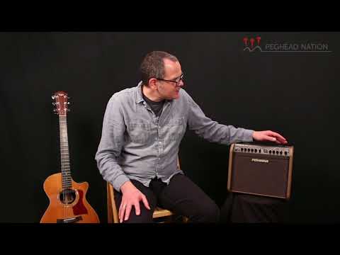 Обзор комбоусилителя Fishman Loudbox Mini Charge